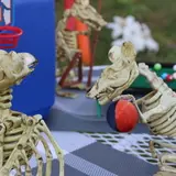 Halloween on S.Lime photo