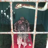 The Kill On Old Mill photo