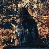Forsaken Forest 