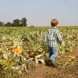 Eckert's Grafton Farm photo