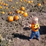 Eckert's Grafton Farm photo