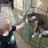 Eckert's Grafton Farm photo