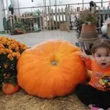 Eckert's Grafton Farm photo