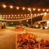 Eckert's Grafton Farm photo