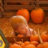 Eckert's Grafton Farm photo