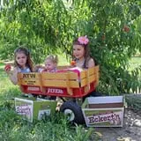 Eckert's Grafton Farm photo