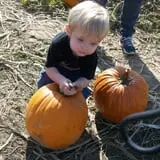 Eckert's Grafton Farm photo