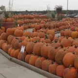 Eckert's Grafton Farm photo