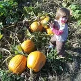 Eckert's Grafton Farm photo