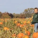 Eckert's Grafton Farm photo