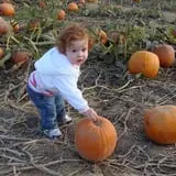 Eckert's Grafton Farm photo