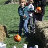 Annual Pumpkinfest at MSU Tollgate Farm photo
