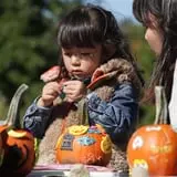 Annual Pumpkinfest at MSU Tollgate Farm photo