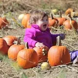 Annual Pumpkinfest at MSU Tollgate Farm photo
