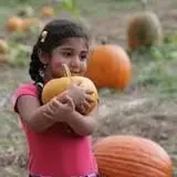 Annual Pumpkinfest at MSU Tollgate Farm photo