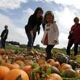 Annual Pumpkinfest at MSU Tollgate Farm photo