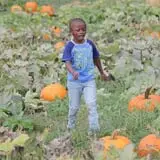 Annual Pumpkinfest at MSU Tollgate Farm photo