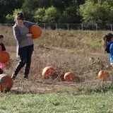Annual Pumpkinfest at MSU Tollgate Farm photo