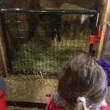 Chase Farms photo
