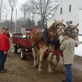 Chase Farms photo