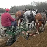 Chase Farms photo