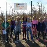 Gieringers Family Orchard & Berry Farm photo