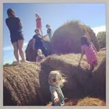 Gieringers Family Orchard & Berry Farm photo
