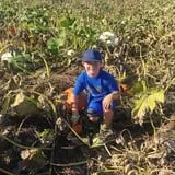 Gieringers Family Orchard & Berry Farm photo