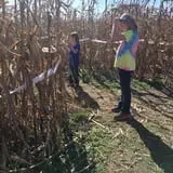 Gieringers Family Orchard & Berry Farm photo