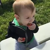Gieringers Family Orchard & Berry Farm photo