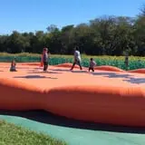 Gieringers Family Orchard & Berry Farm photo