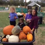 Gieringers Family Orchard & Berry Farm photo