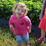 Gieringers Family Orchard & Berry Farm photo