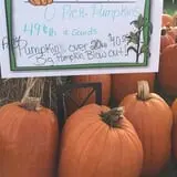 Gieringers Family Orchard & Berry Farm photo