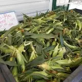 Gieringers Family Orchard & Berry Farm photo