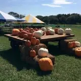 Gieringers Family Orchard & Berry Farm photo
