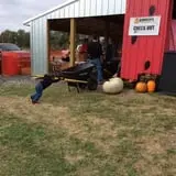 Gieringers Family Orchard & Berry Farm photo