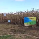 Gieringers Family Orchard & Berry Farm photo