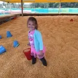 Gieringers Family Orchard & Berry Farm photo