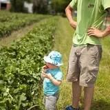 Gieringers Family Orchard & Berry Farm photo