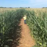 Gieringers Family Orchard & Berry Farm photo
