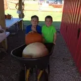 Gieringers Family Orchard & Berry Farm photo