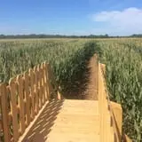 Gieringers Family Orchard & Berry Farm photo