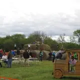 Gieringers Family Orchard & Berry Farm photo