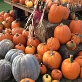 Gieringers Family Orchard & Berry Farm photo