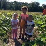 Gieringers Family Orchard & Berry Farm photo
