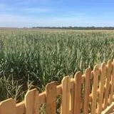 Gieringers Family Orchard & Berry Farm photo