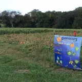 Gieringers Family Orchard & Berry Farm photo