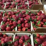 Gieringers Family Orchard & Berry Farm photo