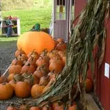 Windy Hill Orchard & Farm Market photo